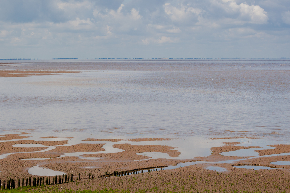 Protegendo o ambiente marinho do North Norfolk