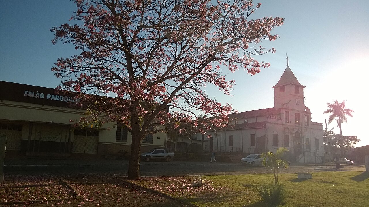Bela Vista de Goiás: localização e características de município do Brasil
