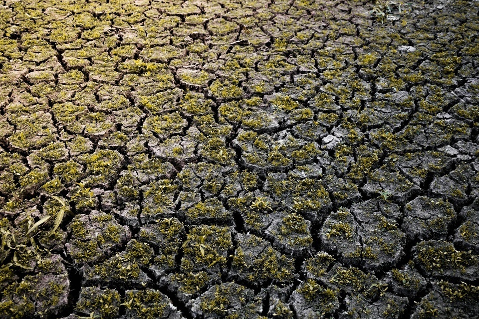Discussão internacional sobre alterações climáticas, envelhecimento e saúde