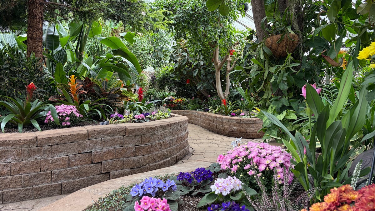 Regina Floral Conservatory seeks city council interest in $48 million project
