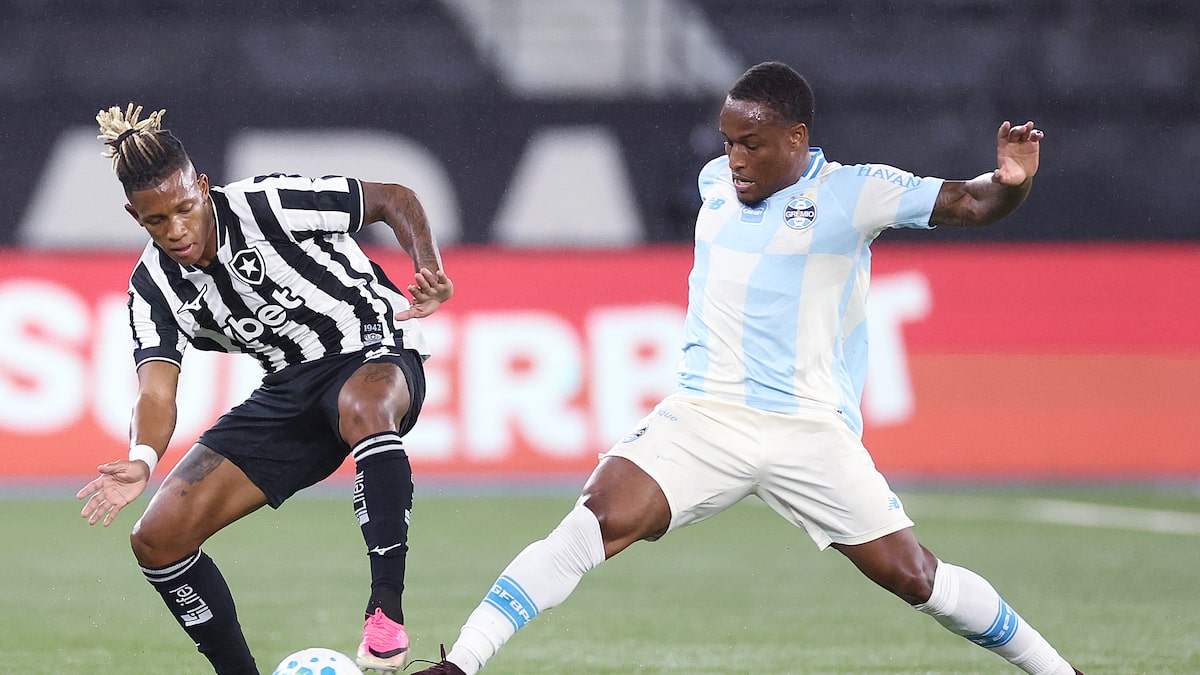 Danilo faz dois e garante vitória do Botafogo sobre Grêmio de Felipão e Renato sob olhar de Tite