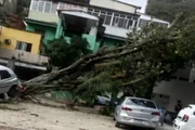Ventania que atingiu RJ deixou rastro de destruição