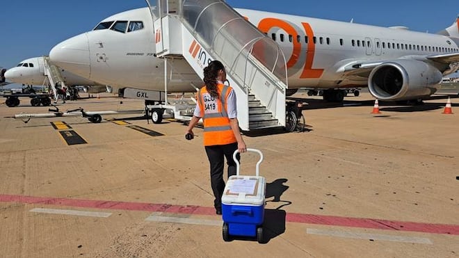 Aeroporto de Goiânia participa do transporte de órgão do doador mais jovem da história de Goiás