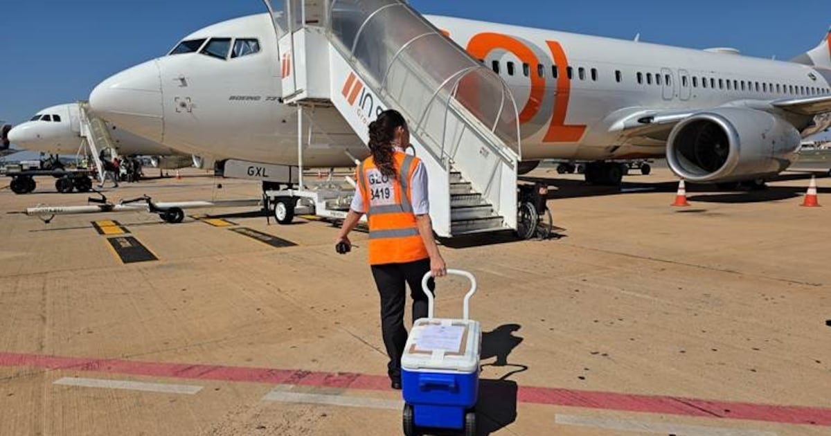 Aeroporto de Goiânia participa do transporte de órgão do doador mais jovem da história de Goiás
