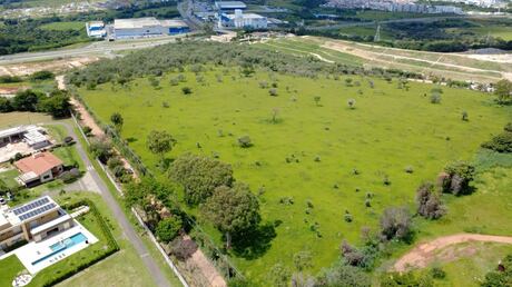 Famosa pelos violões, Giannini tem imóvel levado a leilão por R$ 34 milhões no interior de SP