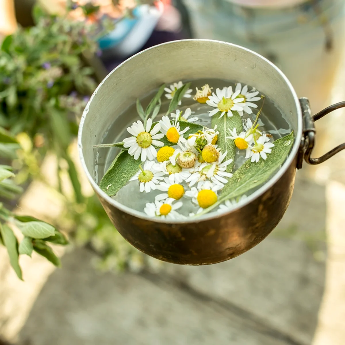 Chá de camomila: veja benefícios, como preparar e quando consumir