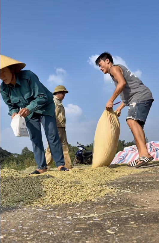 O goleiro Bùi Tiến Dũng voltou à terra natal para secar o arroz para a mãe