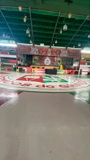 Grande Rio coloca foto de Anitta em quadra