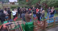 Fran Almeida homenageia Enrico no primeiro aniversário longe do filho: ‘Te amo!’