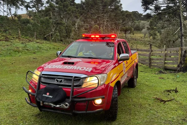 Fotos: bombeiros detalham buscas pelo helicóptero de Rick, dupla de Renner