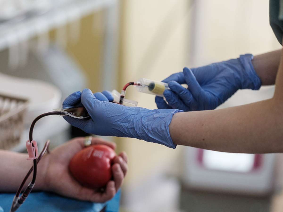 Testemunhas de Jeová flexibilizam regras sobre doação de sangue; entenda