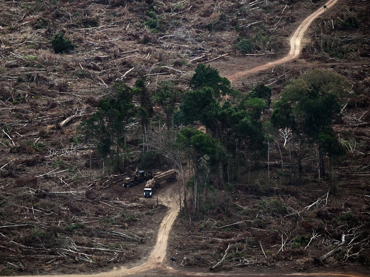 'Limites planetários' necessários para o florescimento da vida foram massivamente violados, alertam cientistas