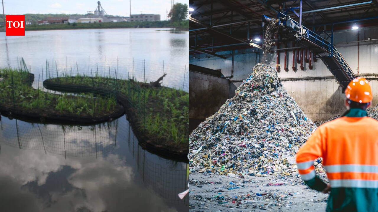 Em 2017, Dubuque transformou plástico reciclado equivalente a cerca de 67.000 garrafas de água em 14 ilhas flutuantes; o sistema de 2.674 pés quadrados agora adiciona habitat para plantas, peixes e aves ao Bee Branch Creek.