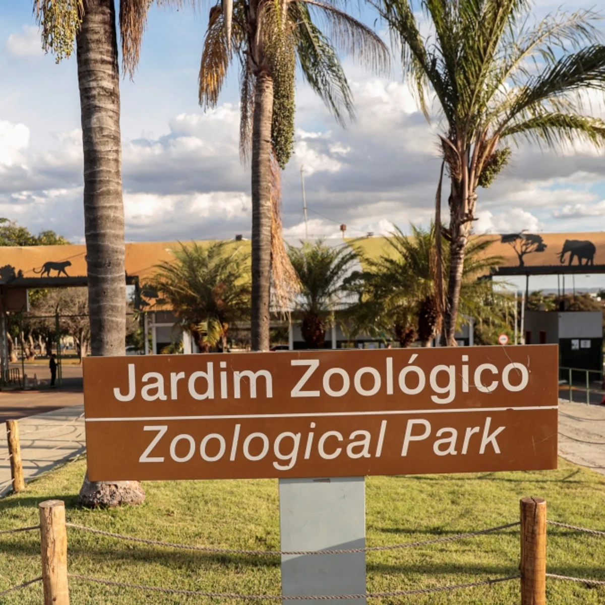 Zoo de Brasília terá ressarcimento para visitantes de dois programas