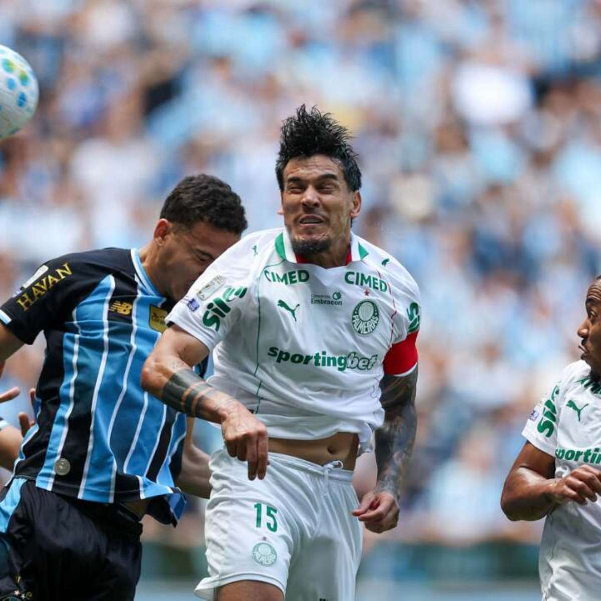 Auxiliar do Palmeiras minimiza empate com o Grêmio: "Faltam 16 jogos"