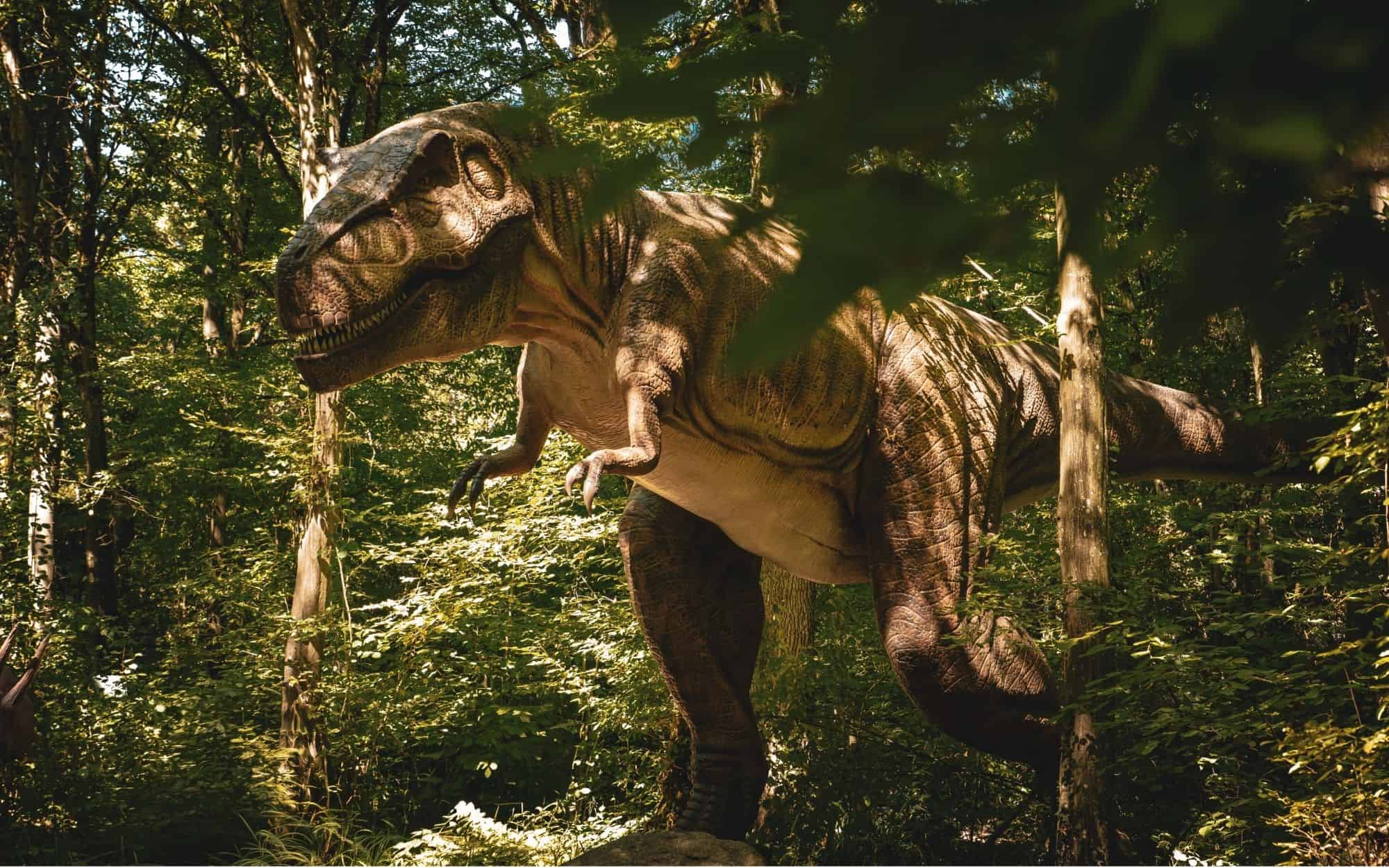 Professor encontra quatro pegadas gigantes e pode ter descoberto uma trilha inédita de T-rex adulto
