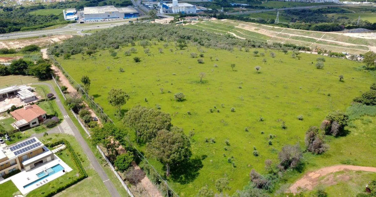 Famosa pelos violões, Giannini tem imóvel levado a leilão por R$ 34 milhões no interior de SP