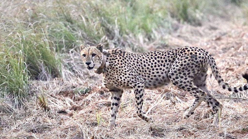 Nandi-Ndaitwah impulsiona a ligação entre habilidades e empregos para jovens