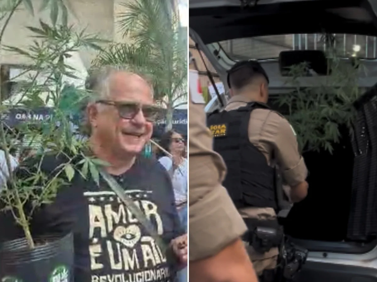 PC vê possibilidade de devolver pé de maconha levado de camburão em BH