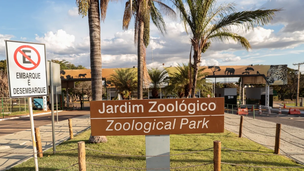 Zoo de Brasília terá ressarcimento para visitantes de dois programas