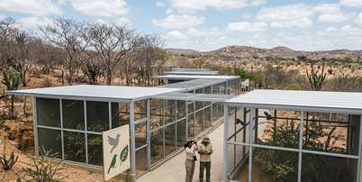 Imagem gerada por Inteligência Artificial, que não tem o objetivo de refletir ou retratar situações reais. Foto: Imagem: gerada por IA / Portal Terra