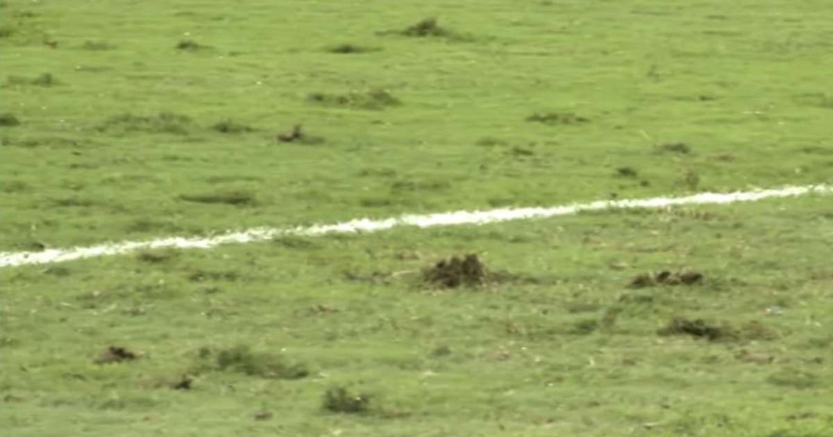 Gramado ruim em amistoso da Seleção gera reação de brasileiros nas redes: 'Pasto'