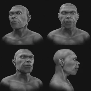 Reconstrução digital revela como poderiam ser os primeiros Homo sapiens que viveram há cerca de 315 mil anos