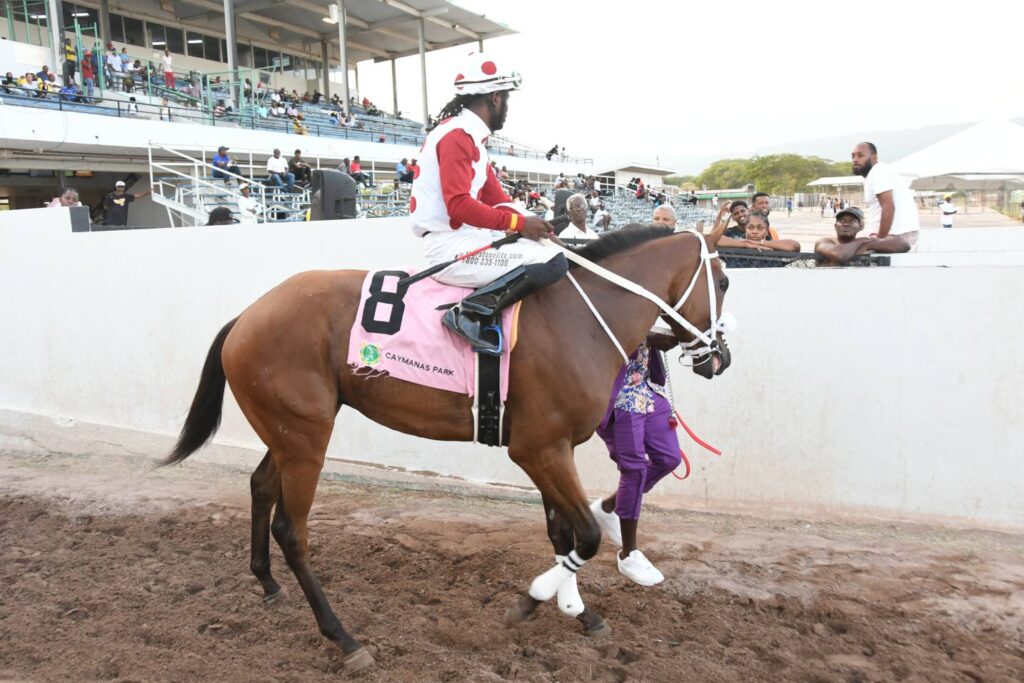Maverick busca redenção na Louis Hitchins Cup