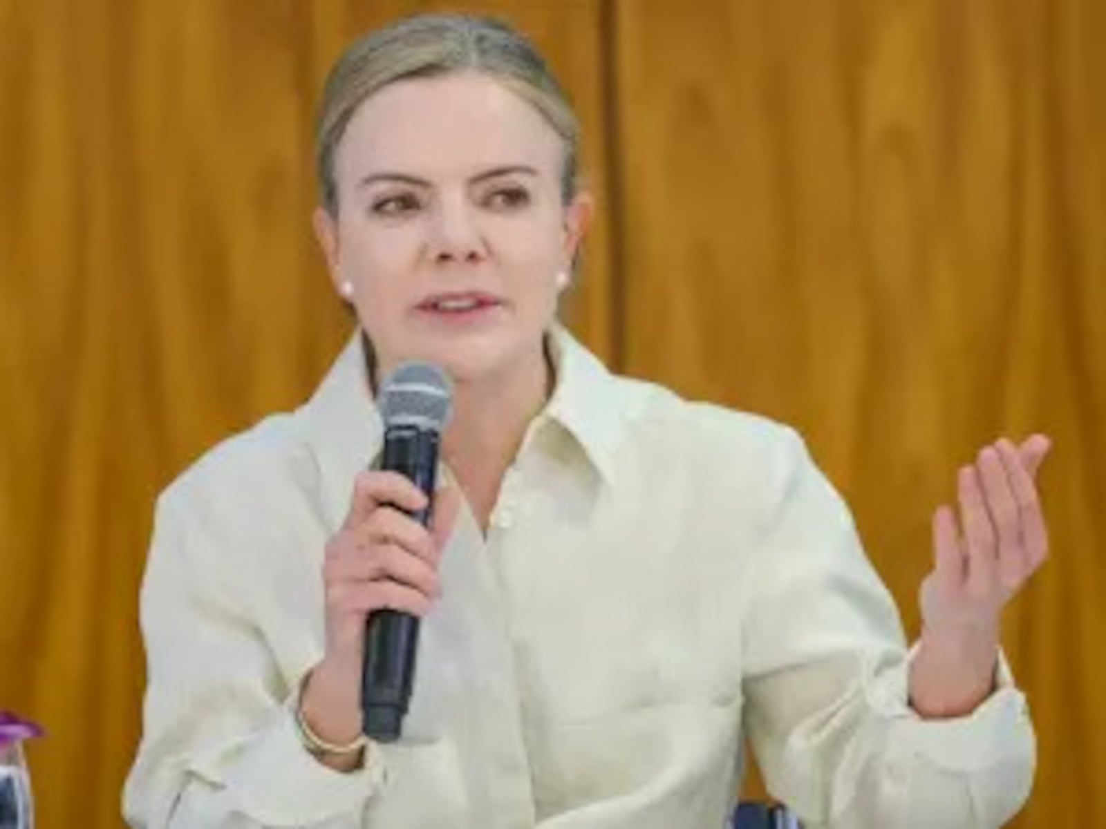A deputada federal Gleisi Hoffmann (PT/PR) Fabio Rodrigues-Pozzebom/ Agência Brasil