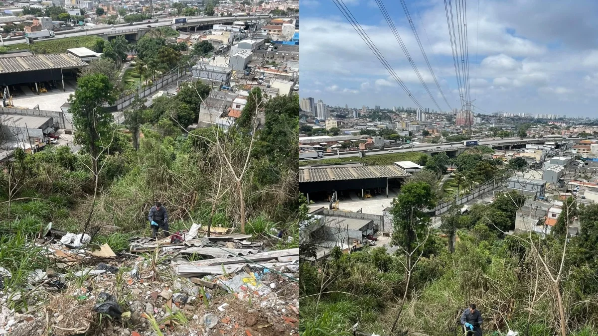 PM encontra corpo esquartejado em sacolas plásticas na zona norte de SP