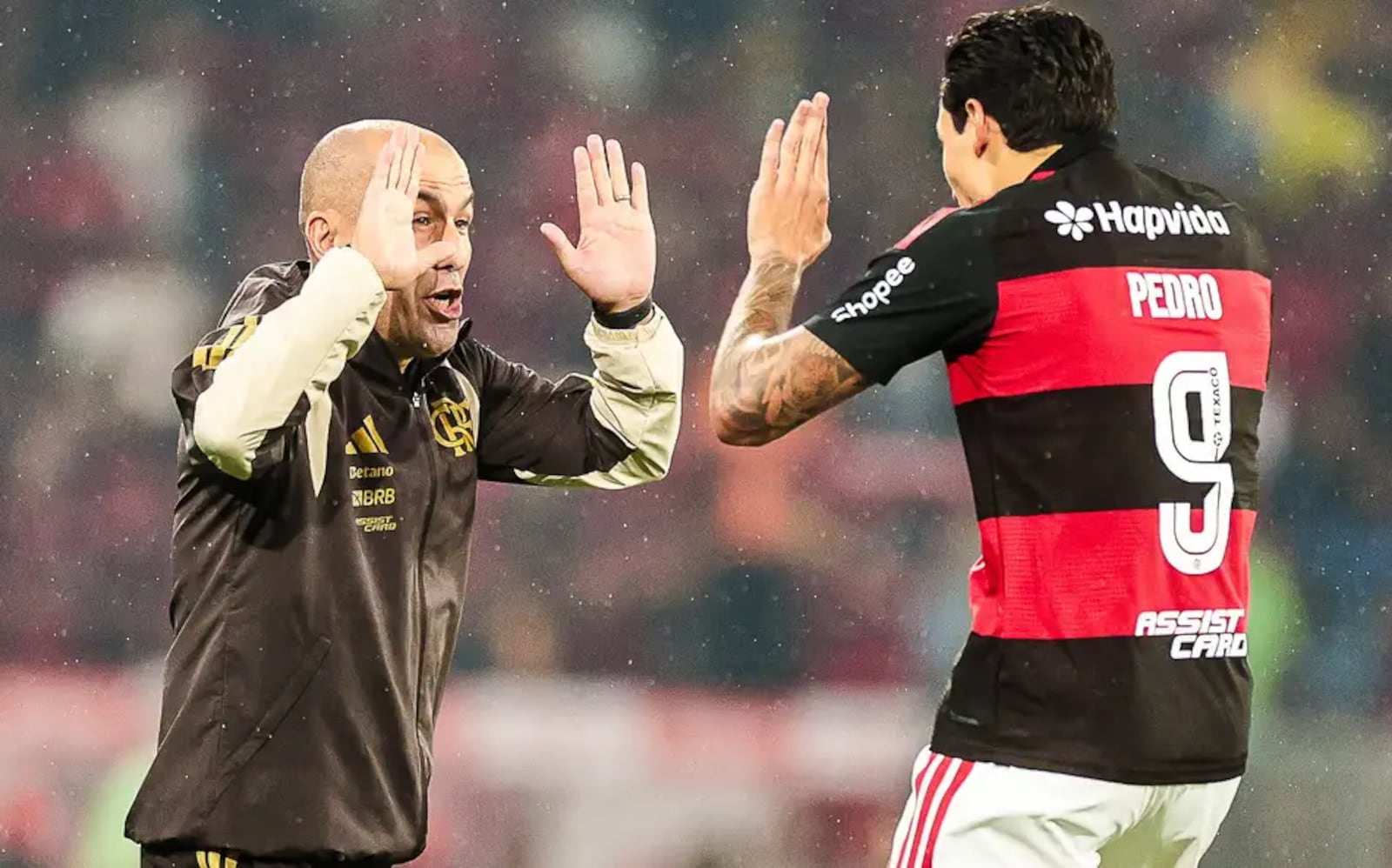 Leonardo Jardim sabe da forte personalidade de Pedro. E tratou de impedir que o clima do líder Flamengo ficasse ruim. Pelo menos publicamente Gilvan de Souza/Flamengo