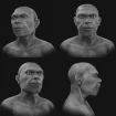 Reconstrução digital revela como poderiam ser os primeiros Homo sapiens que viveram há cerca de 315 mil anos