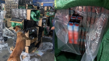 Interceptan en el AICM más de dos millones de cigarros apócrifos: llegaron etiquetados como palillos perfumados
