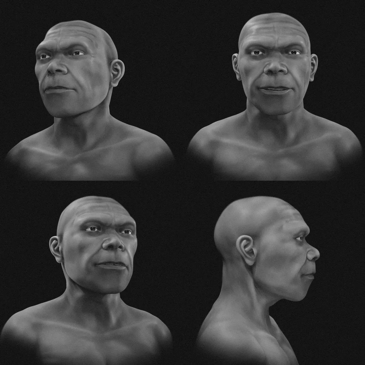 Imagem da matéria: Reconstrução digital revela como poderiam ser os primeiros Homo sapiens que viveram há cerca de 315 mil anos