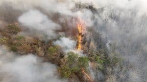 Eventos climáticos extremos do futuro podem ser muito piores que os já registrados