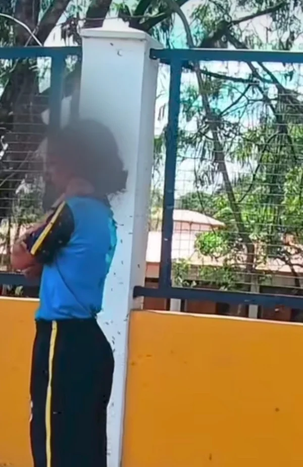 Motoboy que salvou criança de ataque de abelhas vira herói nas redes