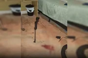 Criança é baleada na cabeça com arma de chumbinho