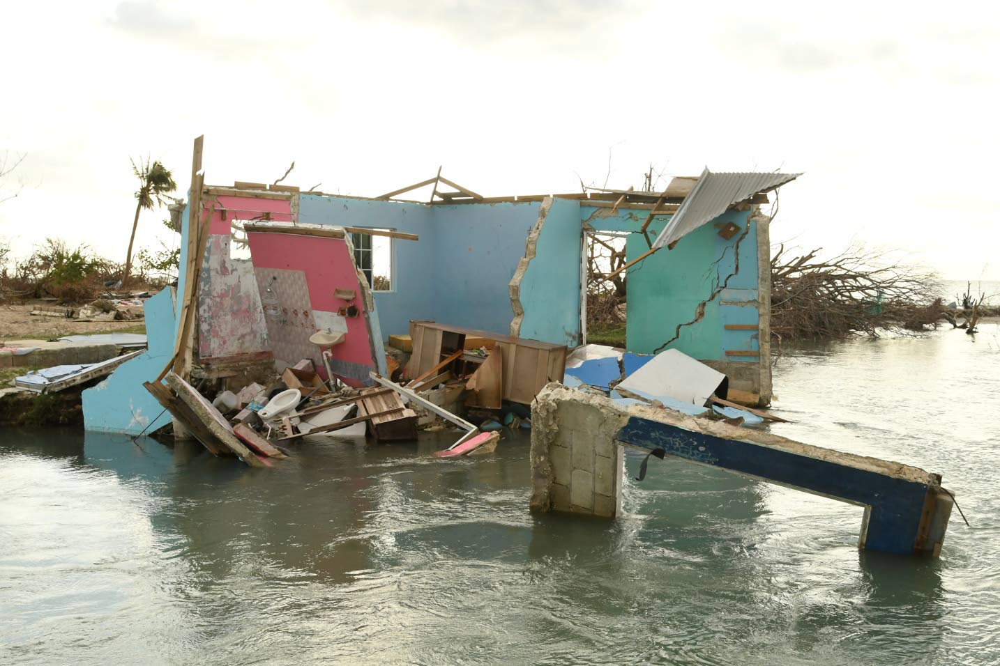 Orientando o futuro de Parottee