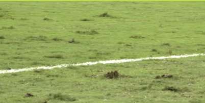 Gramado do Est&aacute;dio Queensland Country Bank, em Townsville, onde Brasil e Austr&aacute;lia se enfrentam nesta sexta-feira, 25 Foto: Reprodu&ccedil;&atilde;o/GETV