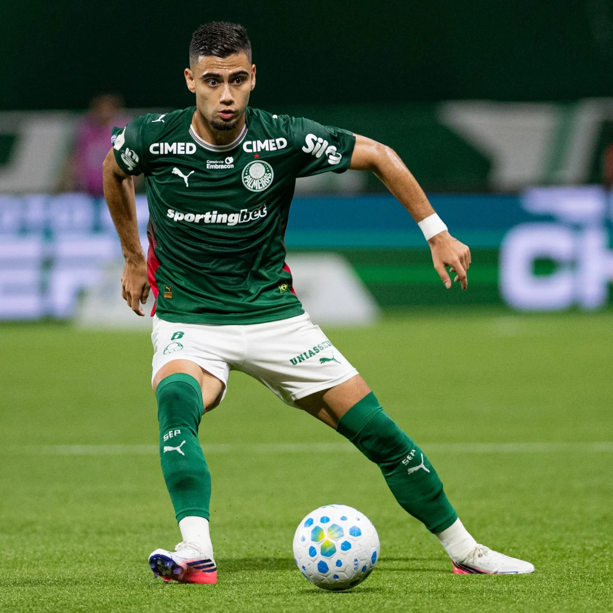 Libertadores: com mudanças, Palmeiras está escalado para jogo contra a LDU