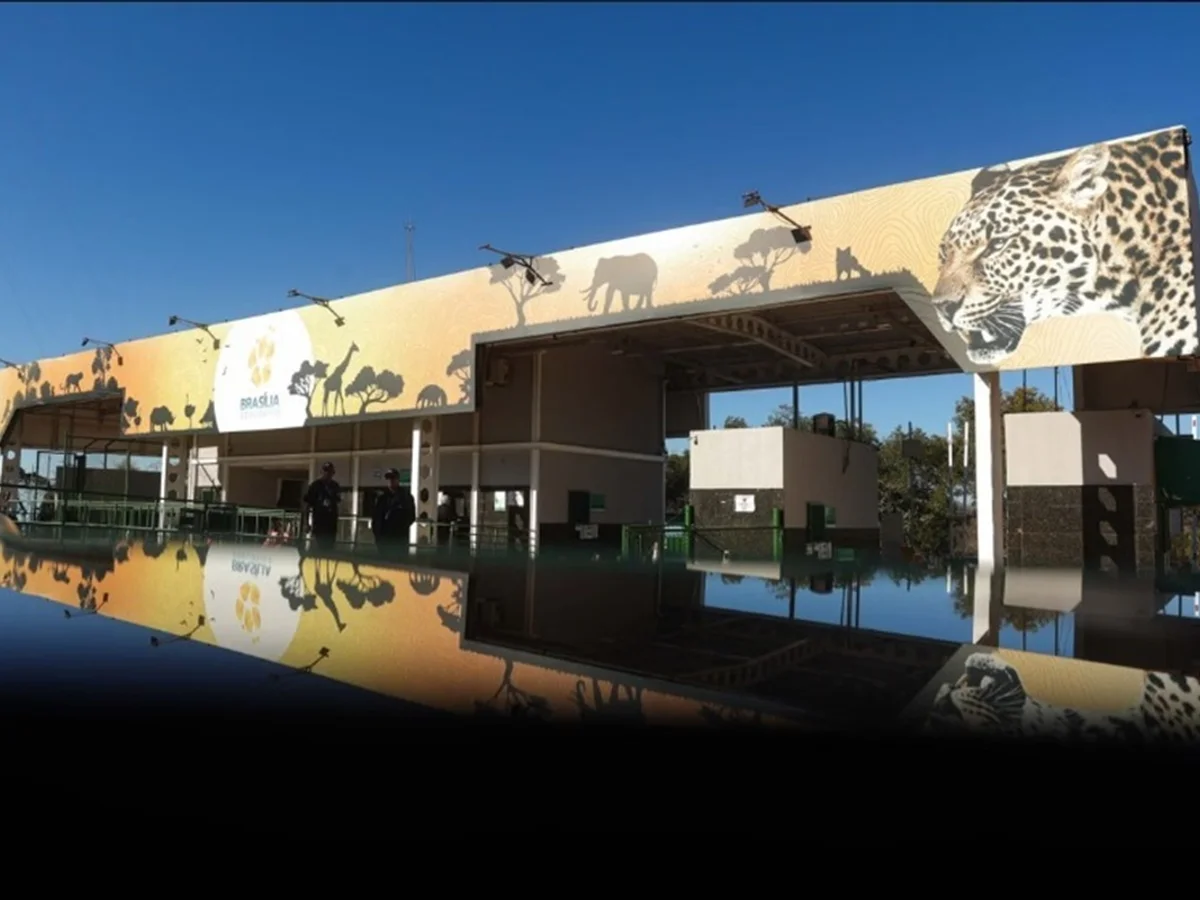 Criança de 5 anos é atacada por escorpião no Zoológico de Brasília