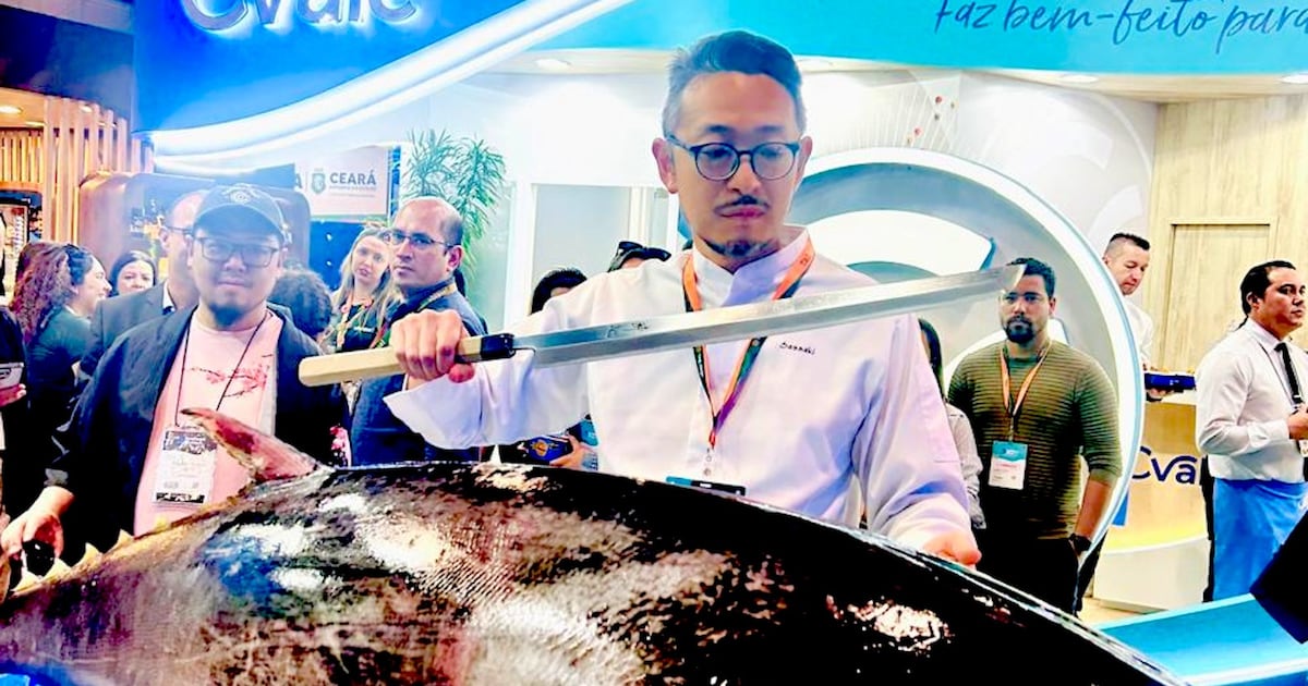 Do pirarucu ao atum: feira apresenta técnicas de corte e conservação do pescado