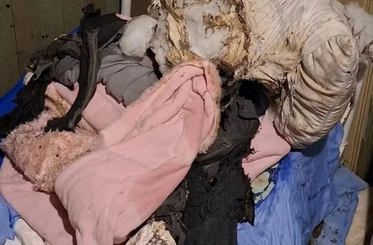 Imagem da matéria: Homem acamado tem 82% do corpo queimado após ter a residência invadida
