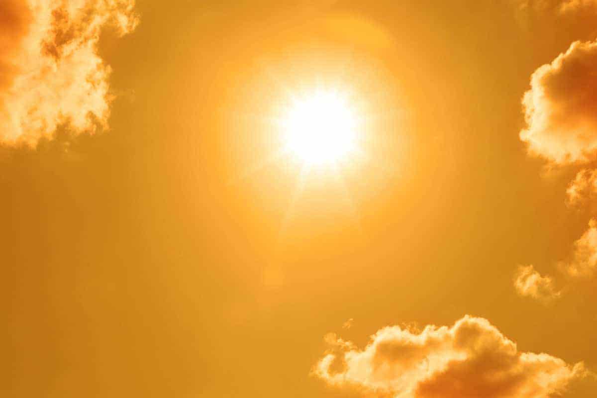 Calor extremo matou mais de 50 mil pessoas em cidades europeias no verão de 2026