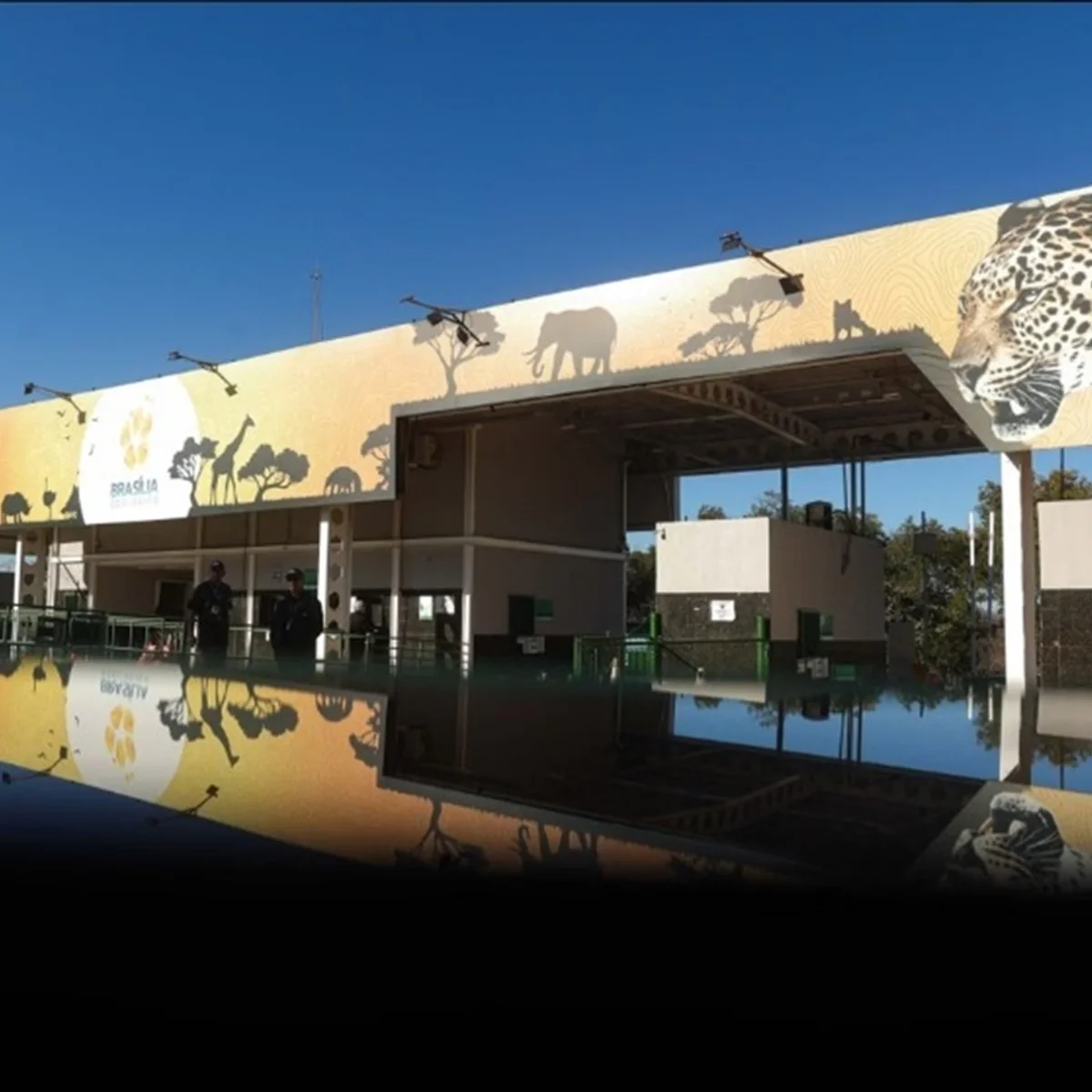 Criança de 5 anos é atacada por escorpião no Zoológico de Brasília