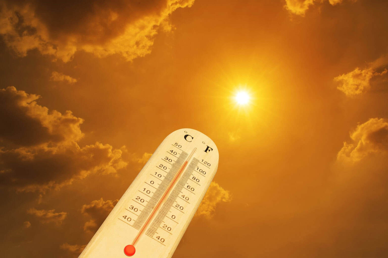 Calor extremo matou mais de 50 mil pessoas em cidades europeias no verão de 2026