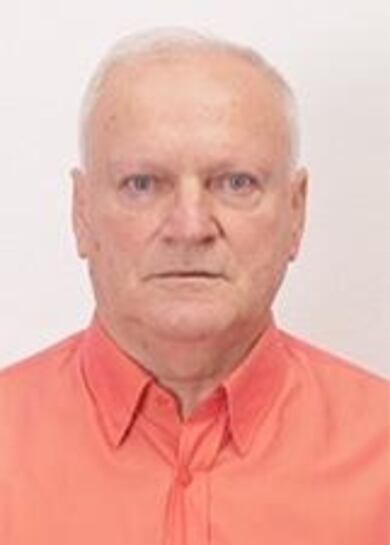 Luxemburgo, Marcelinho Carioca, Edmundo, Sarah Menezes e mais: veja os esportistas candidatos