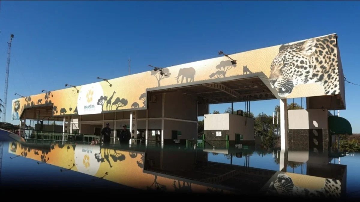 Criança de 5 anos é atacada por escorpião no Zoológico de Brasília