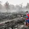 Klarifikasi Pemerintah Soal Bantuan Kebakaran Hutan Malaysia dan Jepang