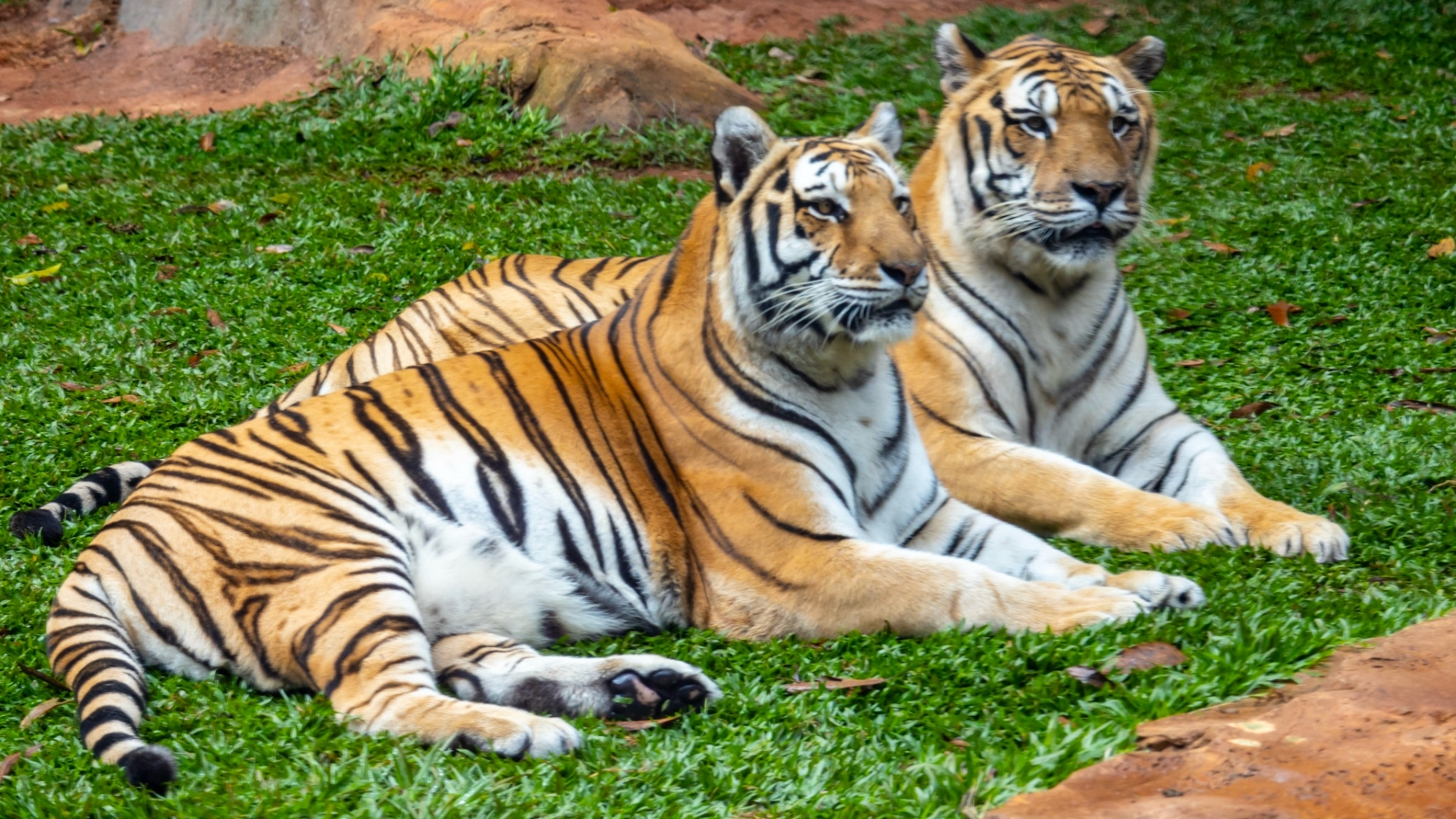 Parques de SP têm entrada gratuita para quem apresentar comprovante de votação